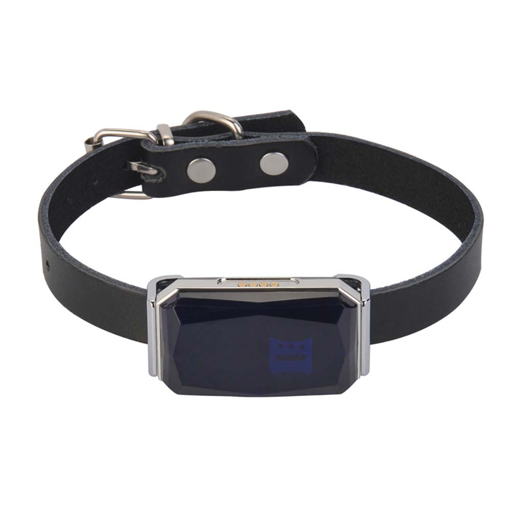 Pet Smart GPS Tracker Anti-lost Waterproof Collar For Dog Cat (1)