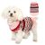 Small Dog Clothes Warm Winter Puppy Knitwear Turtleneck Pet Sweaters